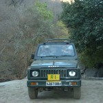 tigerreserv-jeep1